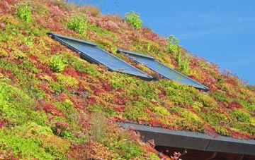 Southbrook living roof systems